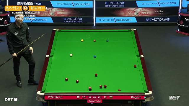 会选择投身 会选择投身