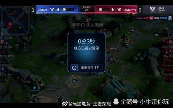 羽毛球领域 羽毛球领域