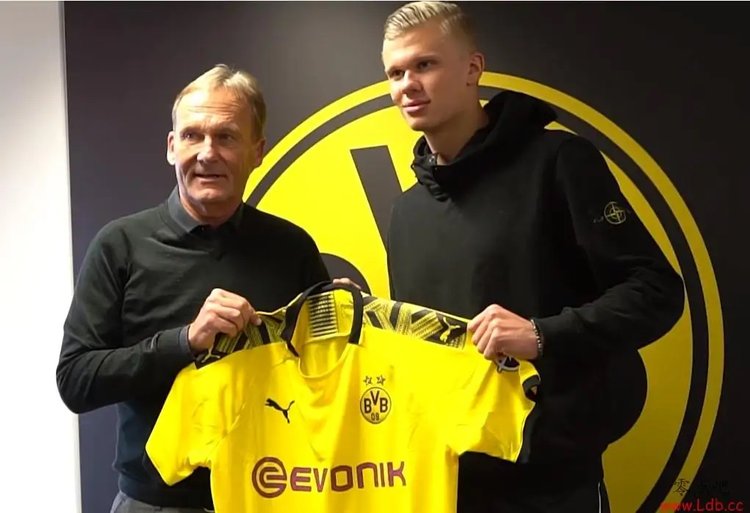 触球的质量 触球的质量